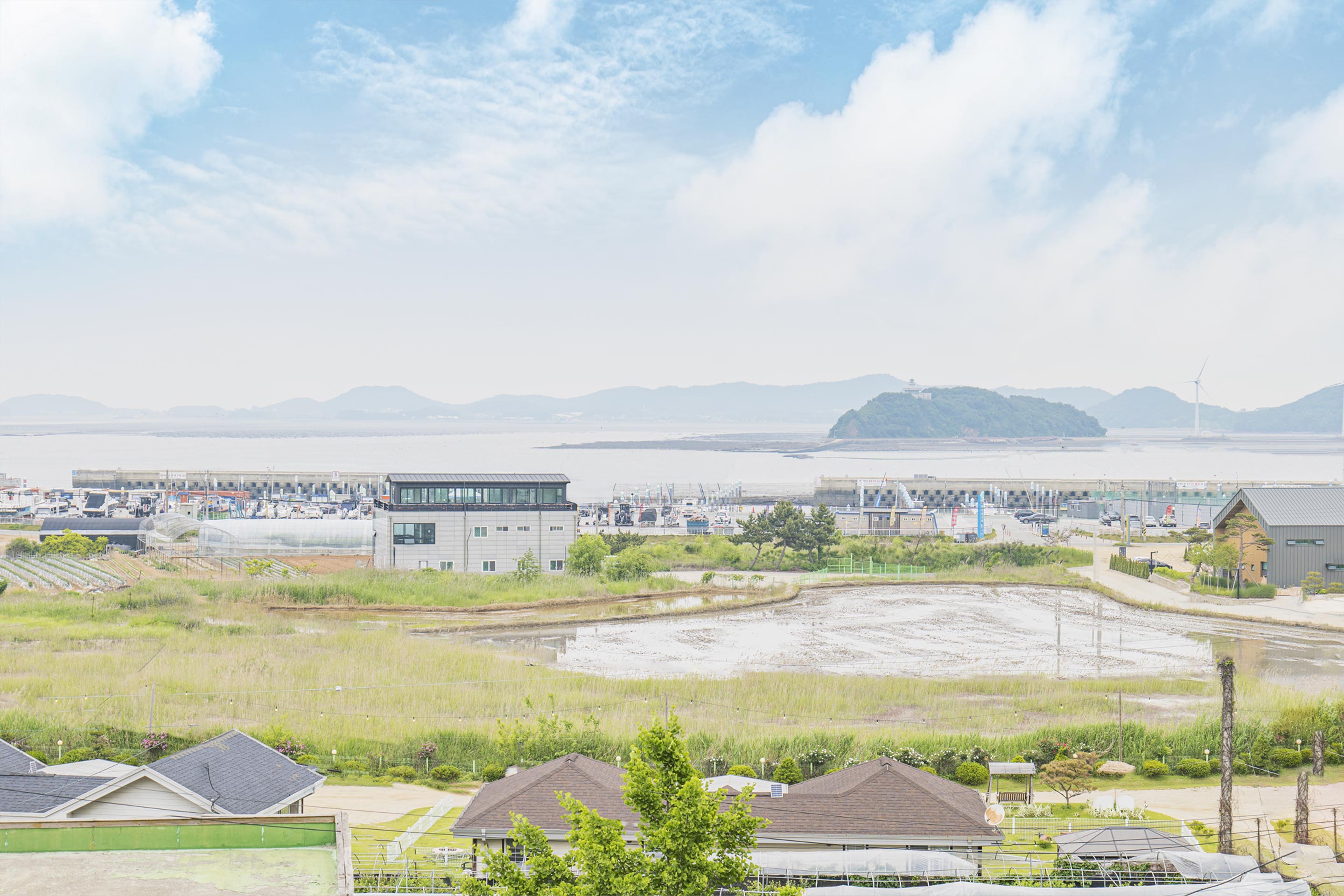 의 적송